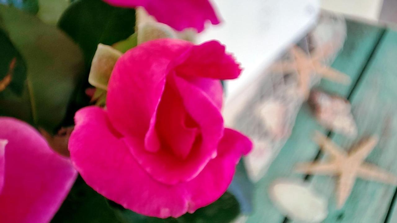 Nikolas House Gimari エクステリア 写真